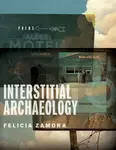 Interstitial Archaeology - Felicia Zamora