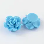 Resin Beads