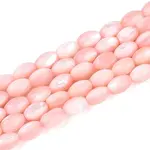 Natural Trochus Shell Beads Strands