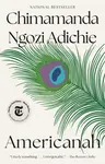 Americanah - Chimamanda Ngozi Adichieová