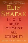 In One Brief Moment All Eternity - Elif Shafaková