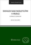 Dohled nad nezletilými v právu (25 příkladů z judikatury) - David Holubec