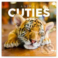 NOTIQUE Nástenný poznámkový kalendár Animal cuties (Mláďatá) 2026