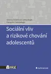 Sociální vliv a rizikové chování adolescentů, Cakirpaloglu Dobešová Simona