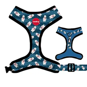 Reedog BEAR - XS | P51904