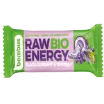BOMBUS Raw BIO čierne ríbezle a kokos 50 g