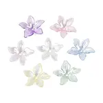 Transparent Plastic Bead Caps