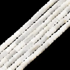 Natural Freshwater Shell Beads Strands