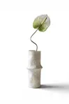 Botané  dekorativní 67 x 15 cm