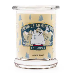VONNÁ SVÍČKA Vícebarevná Beagle Mountain ve skle 250 g