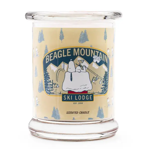 VONNÁ SVÍČKA Vícebarevná Beagle Mountain ve skle 250 g
