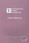 Cesta církve IX