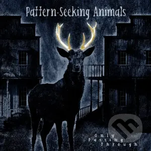 Pattern-Seeking Animals: Only Passing Through (HQ) LP
