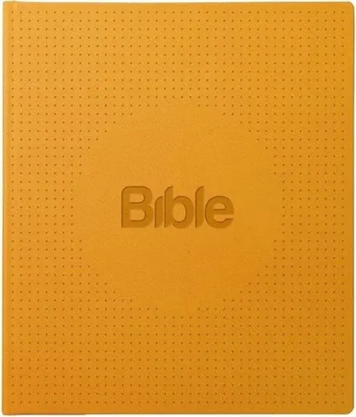 Bible21 ilumina - Alexandr Flek