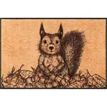 DVEŘNÍ ROHOŽKA, 50/75 cm,