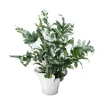 Nerezový květináč BLOOM BOTANICA, 32,5 cm  - Georg Jensen