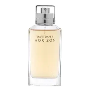 Davidoff Horizon toaletní voda pro muže 75 ml