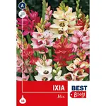 Ixia Mix