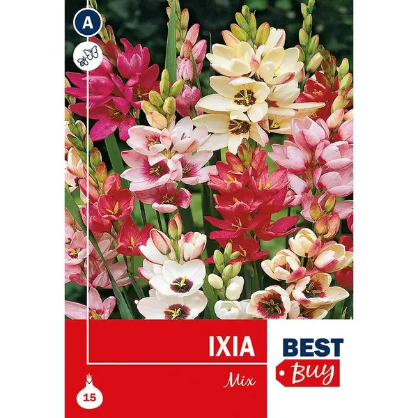 Ixia Mix