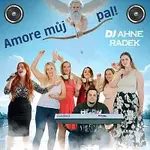 DJ Ahne Radek, Anna Zemanová, Petra Parýzková – Amore můj pal!