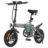 ESKUTE F100 Folding Electric Bike 250W 36V 9Ah Grey