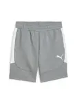 PUMA Športové nohavice 'TeamEvostripe'  tmavosivá / biela