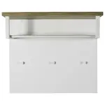 Carryhome ŠATNÍ PANEL, barvy dubu, vysoce lesklá bílá, 82/71/35 cm