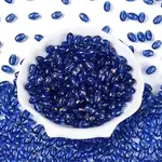 Oval Glass Seed Beads