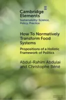 How To Normatively Transform Food Systems - Abdul-Rahim  Abdulai, Christophe  Bene