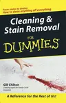 Cleaning and Stain Removal for Dummies - Gill Chilton