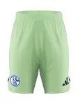 ADIDAS PERFORMANCE Športové nohavice  mätová
