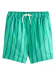 Next Plavecké šortky 'gestreift'  modrá / zelená