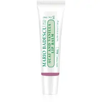 Mario Badescu Acai and Vanilla Lip Balm hydratační balzám na rty 10 g
