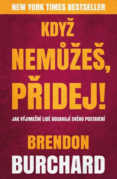 Když nemůžeš, přidej (poškozená) - Brendon Burchard
