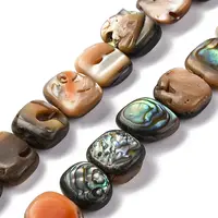 Natural Paua Shell Beads Strands