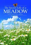 The Secret Life of a Meadow - David Morgan, Wilson Wall