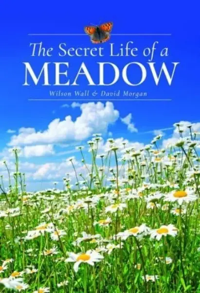 The Secret Life of a Meadow - David Morgan, Wilson Wall