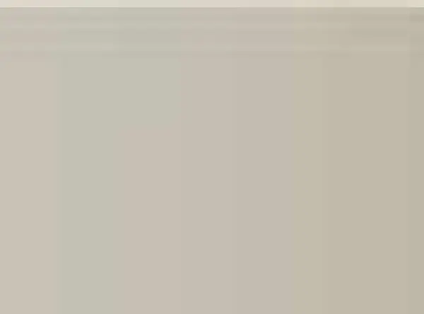 Pastel Caran d'Ache Neocolor II 403 Beige