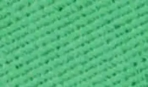 Barva na textil Rosa 20ml – 14 Mint