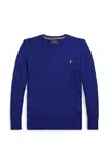 Bavlněný svetr Polo Ralph Lauren modrá barva, 323702674080