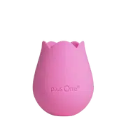 PLUSONE Růžová rozkoš Bloom PLO-6747PNKN