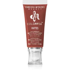 Danessa Myricks Beauty Colorfix Mattes multifunkční líčidlo pro oči, rty a tvář odstín Chestnut 10 ml