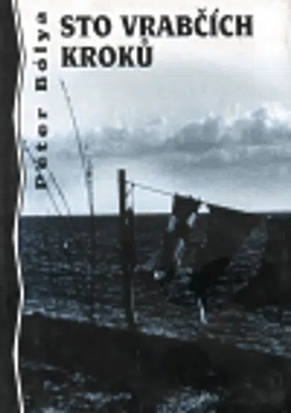 Sto vrabčích kroků - Peter Bólya