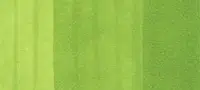 Copic sketch marker - YG25 celadon green