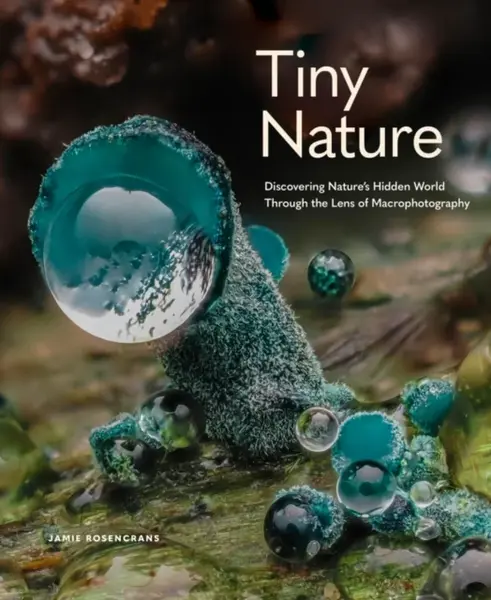 Tiny Nature - Jamie Rosencrans