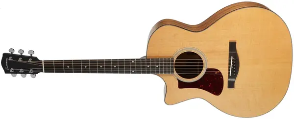 Eastman AC222LCE