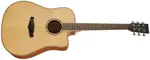 Tanglewood TP5SE