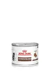 Royal Canin Gastrointestinal Kitten konzerva pre mačky 195 g