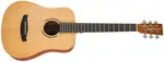 Tanglewood TR2