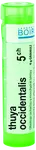 BOIRON Thuya Occidentalis CH5 granule 4 g